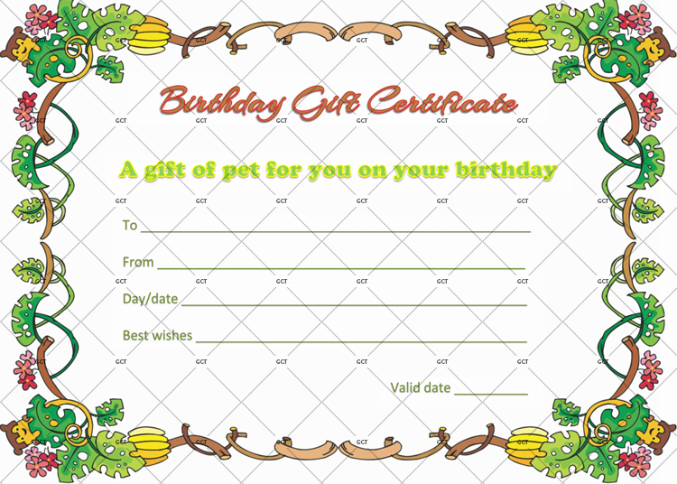 Birthday Gift Certificate Sample